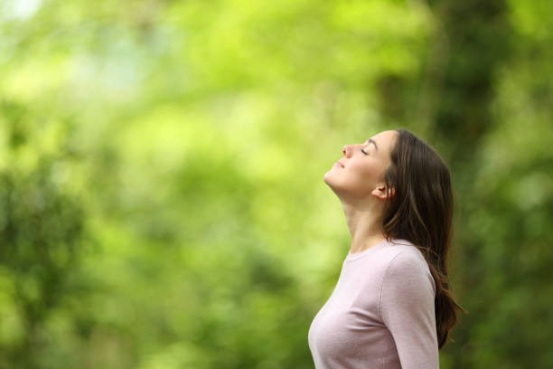 The Healing Power of Essential Oils Explained